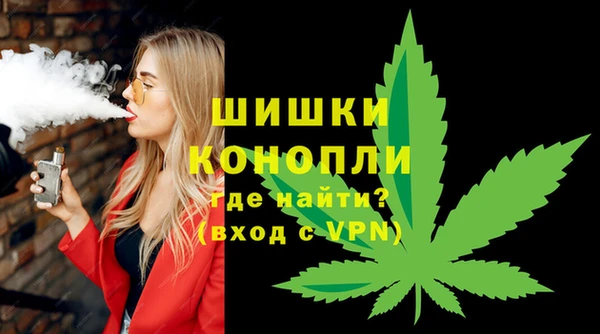Альфа ПВП Бородино