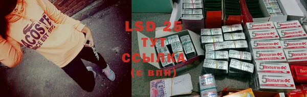 Альфа ПВП Бородино