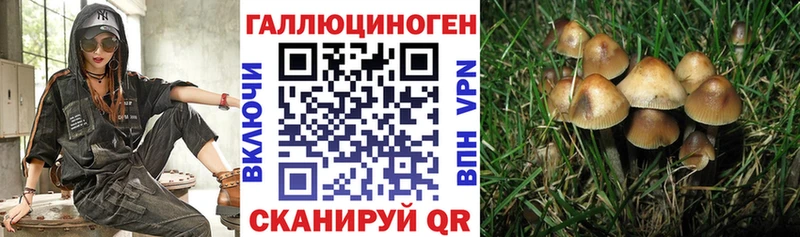 Галлюциногенные грибы мицелий  Бузулук 